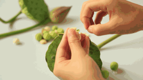 333333.gif 333333.gif